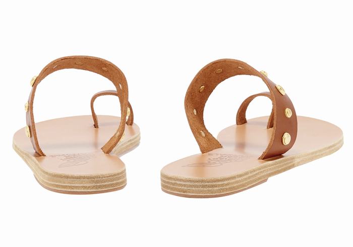 Sandales Toe-Post Ancient Greek Sandals Thalia Bee   | WMK-6358600